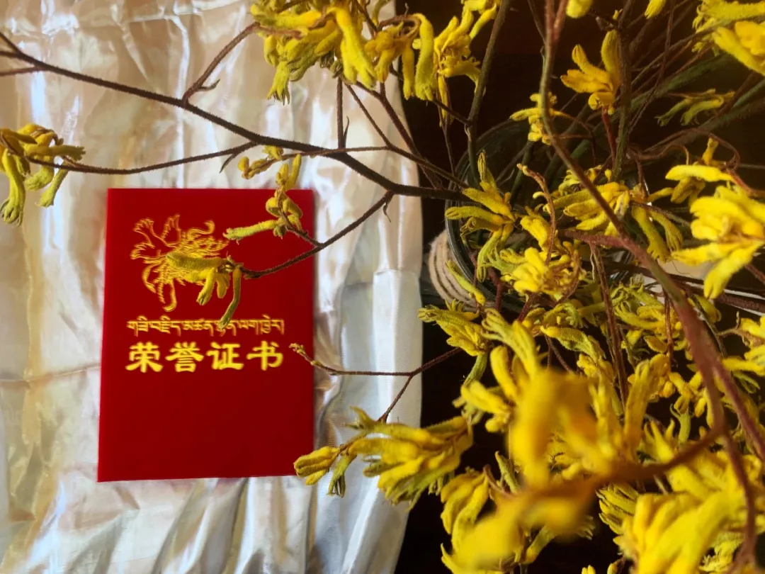 衡丰援藏律师刘沫含被中共日喀则市司法局党组评为2019年度优秀共产党员 